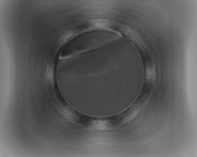 X0000111580444200907231238