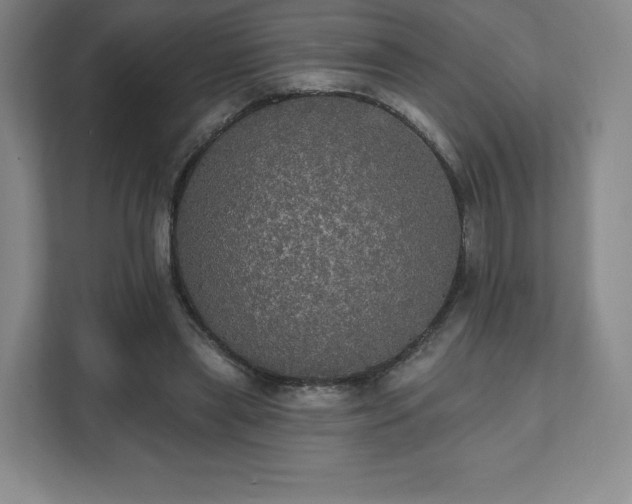 X0000111580445200907231238
