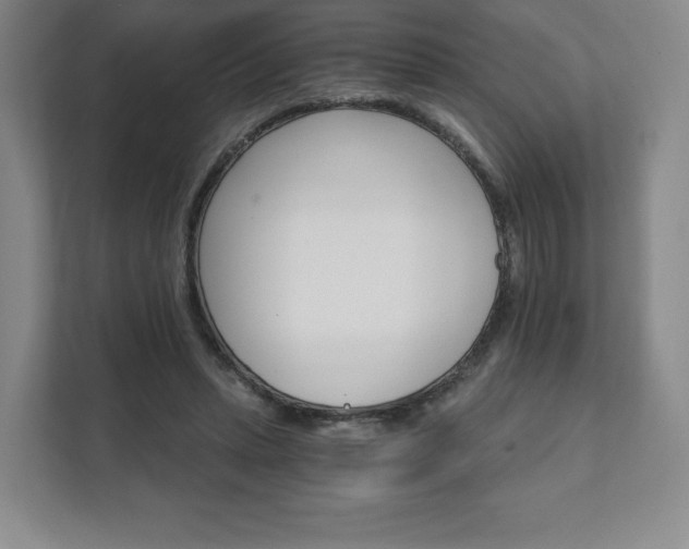 X0000111580447200907231238