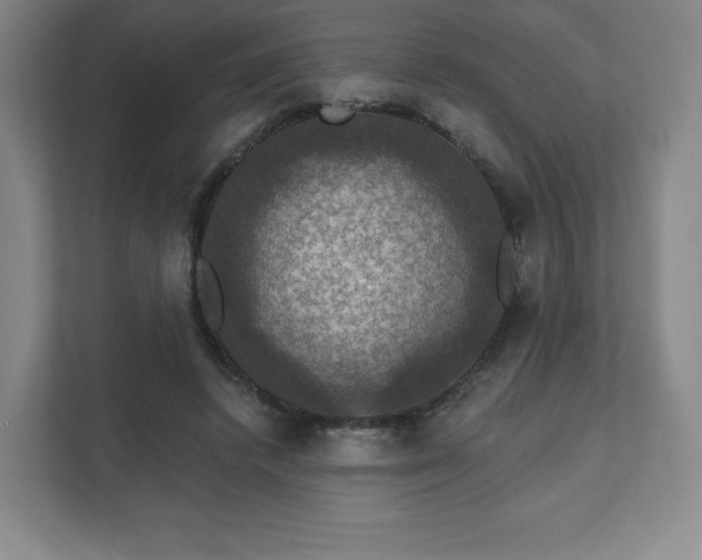X0000111580448200907231238