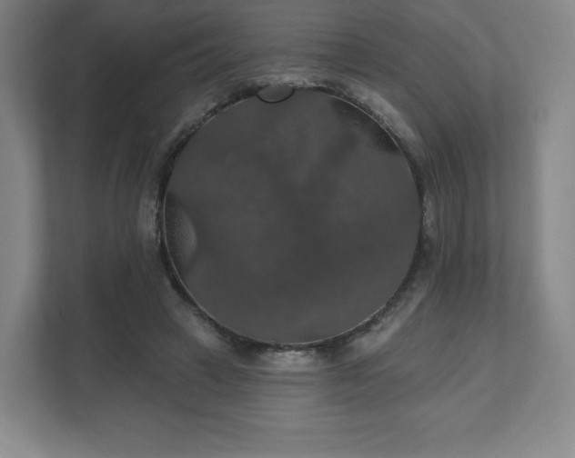 X0000111580449200907231238
