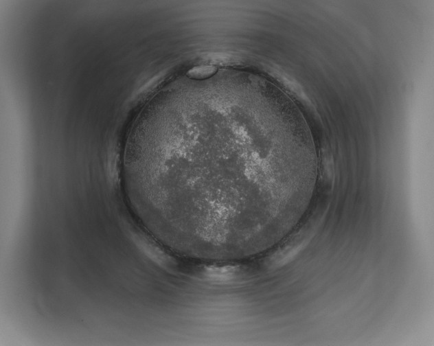 X0000111580450200907231239