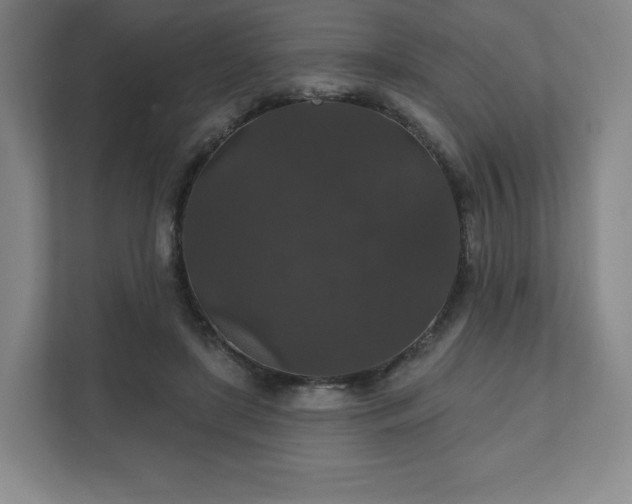 X0000111580451200907231239