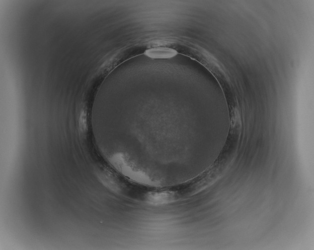 X0000111580452200907231239
