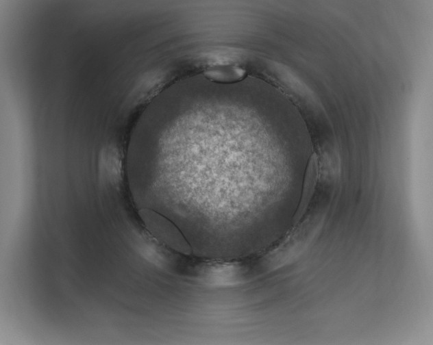 X0000111580456200907231239