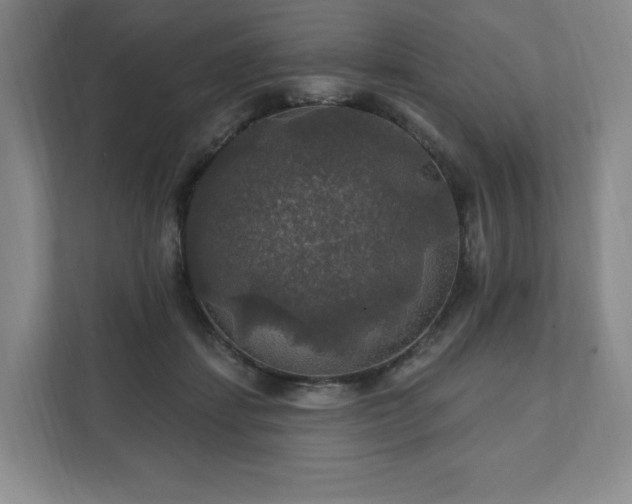 X0000111580459200907231239