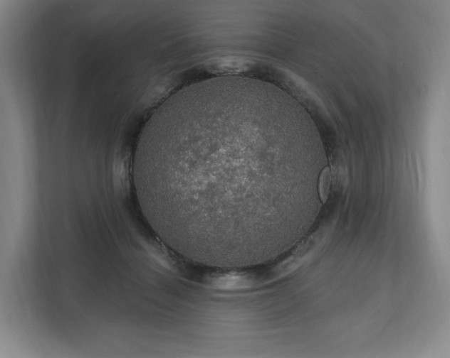 X0000111580460200907231239
