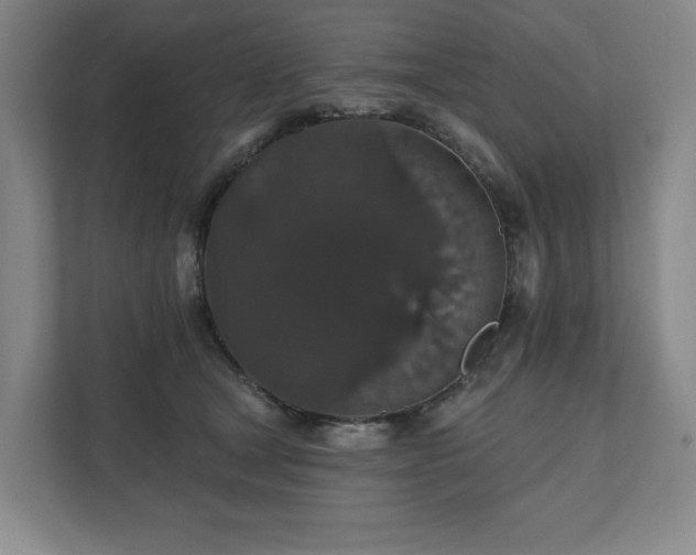 X0000111580465200907231239