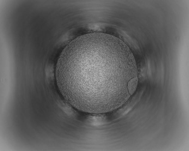 X0000111580466200907231239