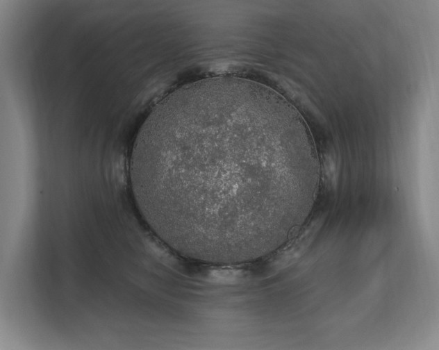X0000111580470200907231239
