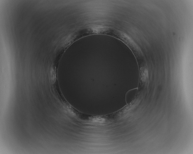 X0000111580471200907231239