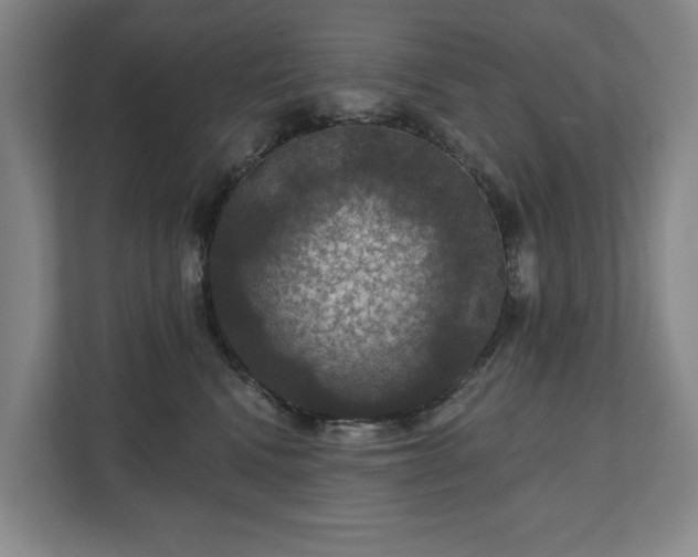 X0000111580472200907231239