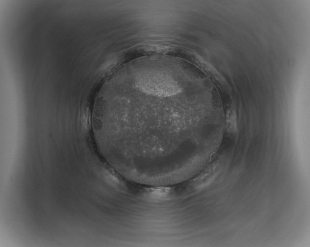X0000111580474200907231239