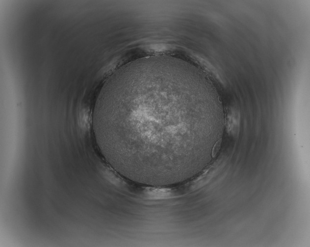 X0000111580476200907231239