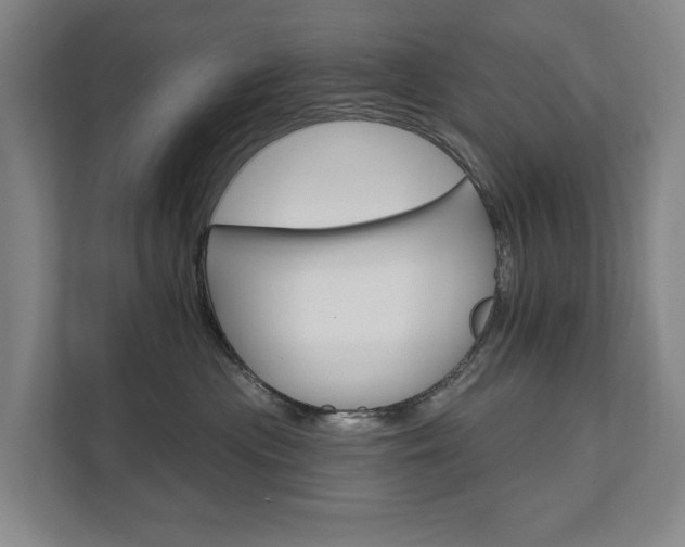 X0000111580477200907231239