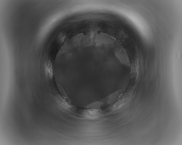 X0000111580479200907231239