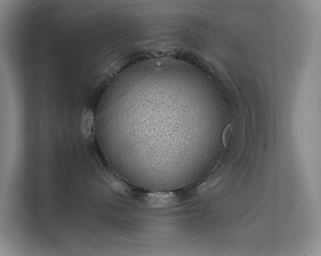 X0000111580480200907231239