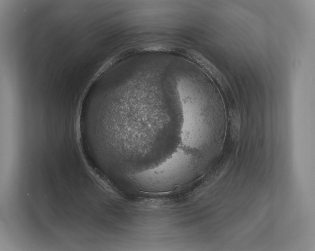 X0000111580482200907231238