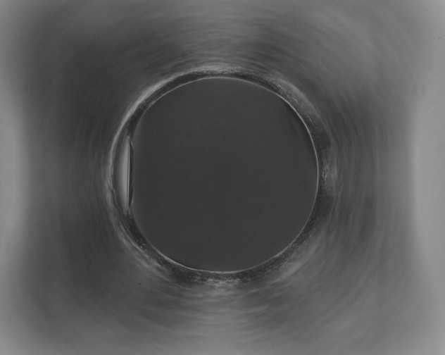 X0000111580484200907231238