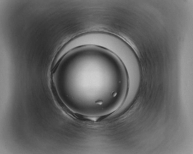 X0000111580485200907231238