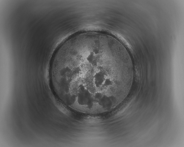 X0000111580487200907231238