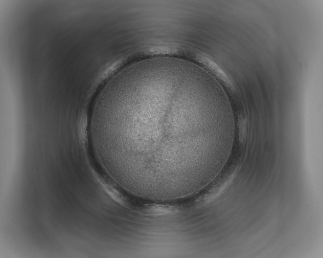 X0000111580490200907231238