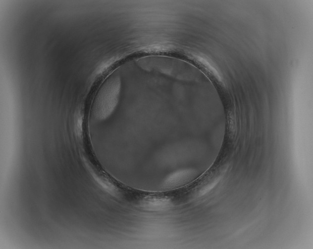X0000111580491200907231238