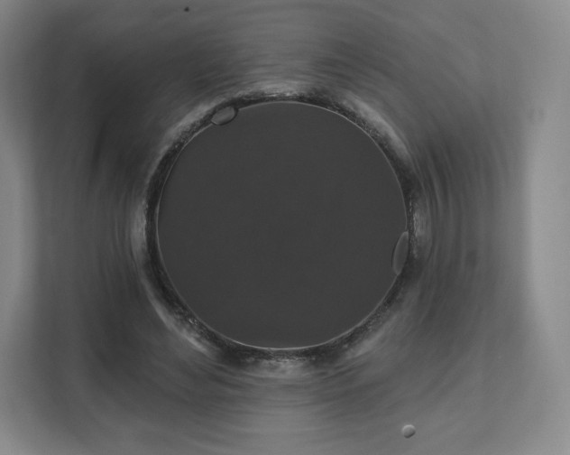 X0000111580492200907231238