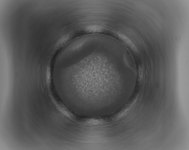 X0000111580494200907231238