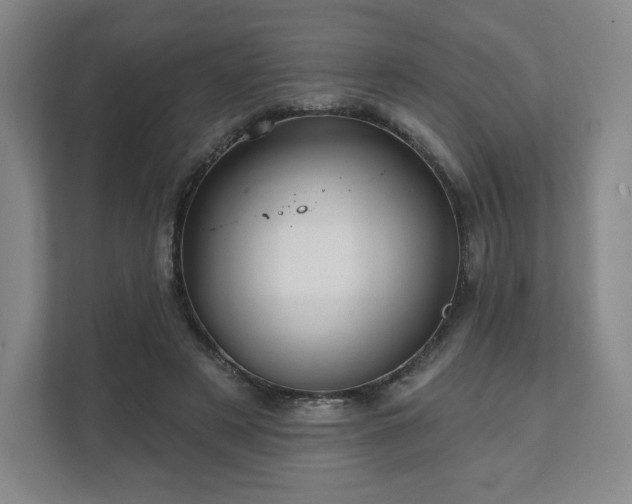 X0000111580497200907231238