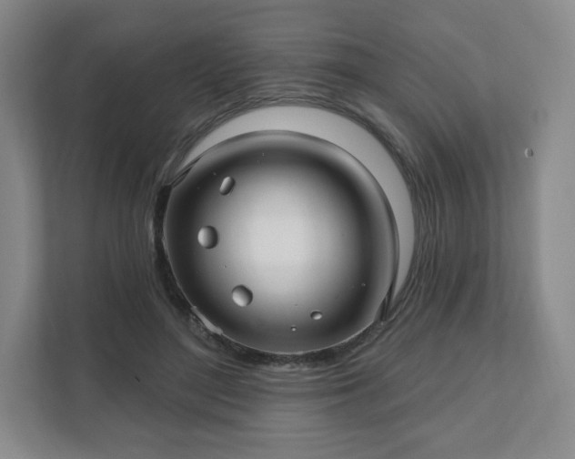 X0000111580500200907231238