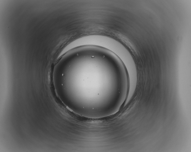 X0000111580501200907231238