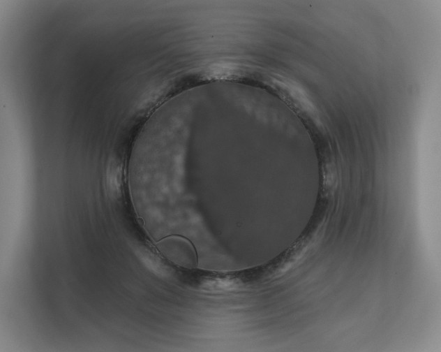 X0000111580503200907231238