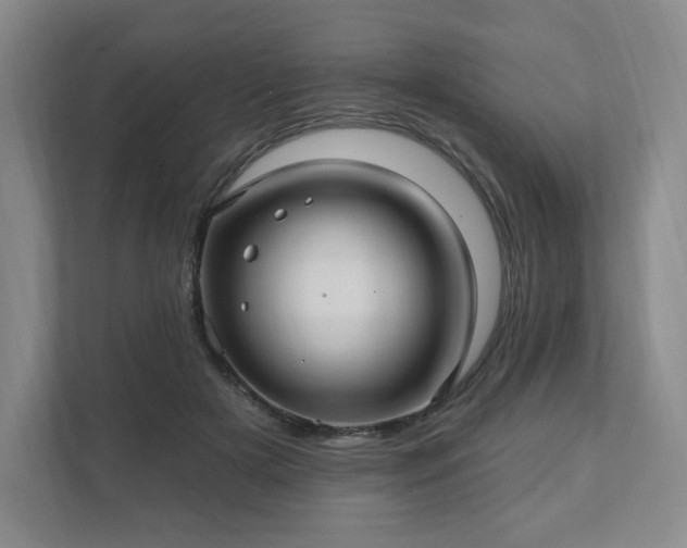 X0000111580505200907231238