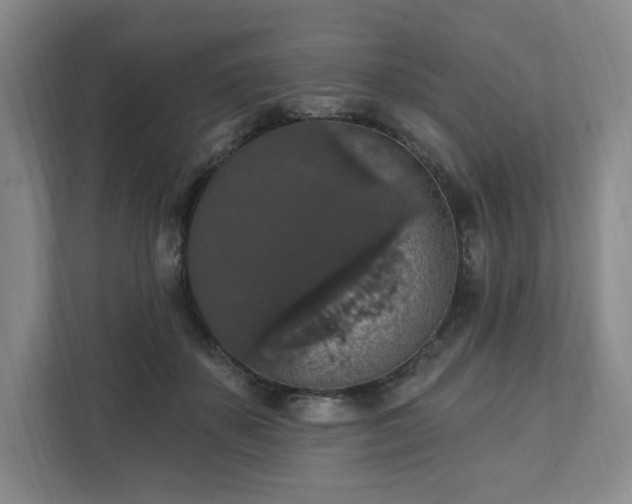 X0000111580507200907231238