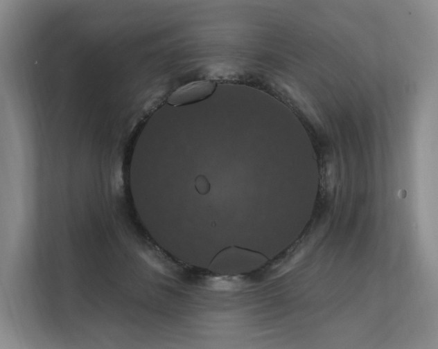X0000111580508200907231238