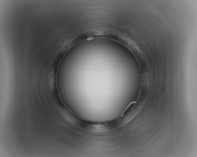 X0000111580509200907231238