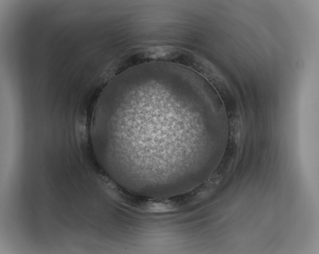 X0000111580510200907231238