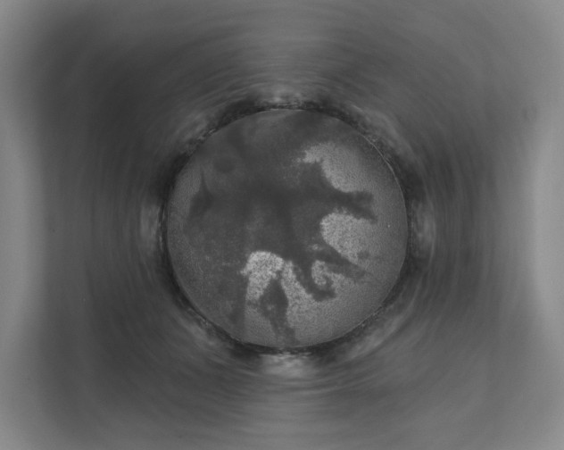 X0000111580511200907231238