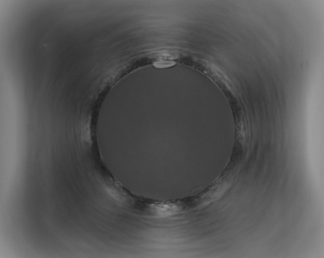 X0000111580512200907231238