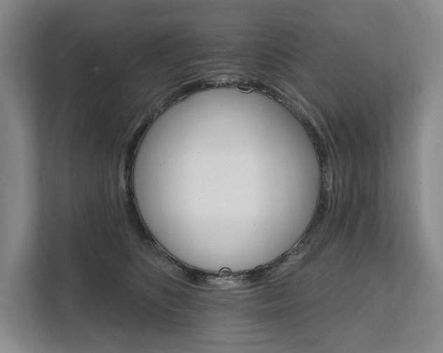 X0000111580516200907231238