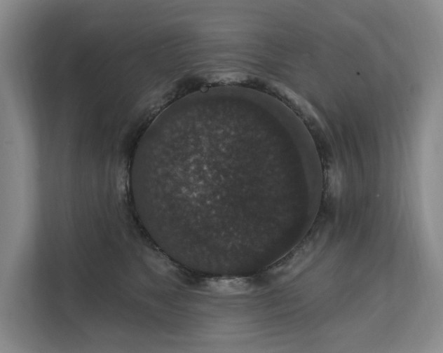 X0000111580517200907231238