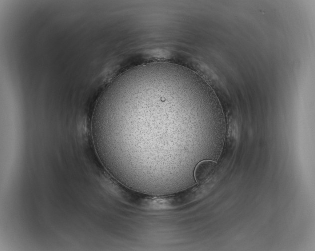 X0000111580518200907231238