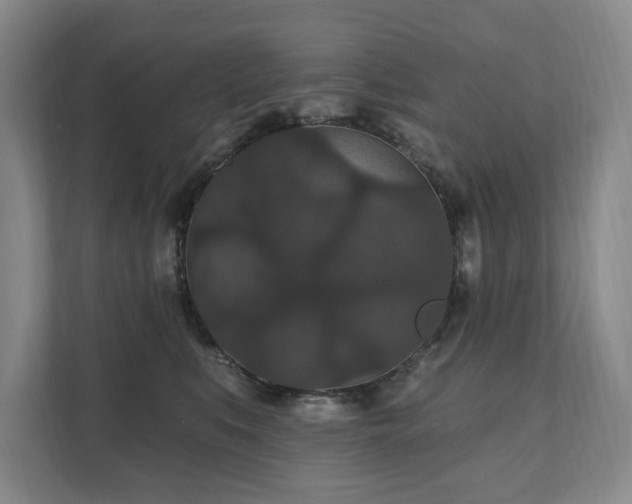 X0000111580519200907231238