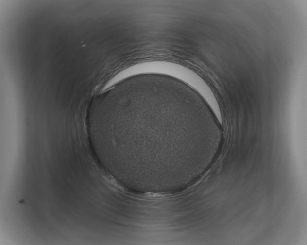 X0000111580520200907231238