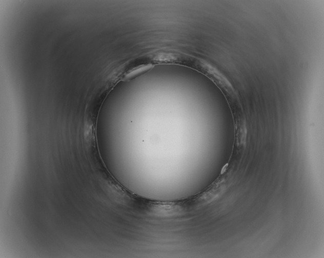 X0000111580521200907231238