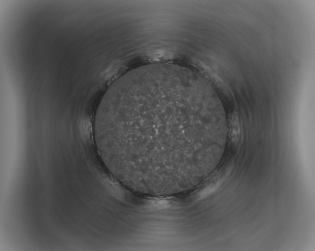 X0000111580523200907231238