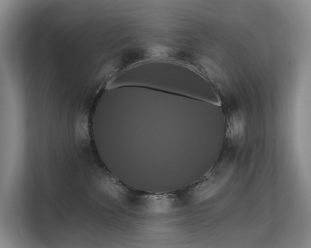 X0000111580524200907231238