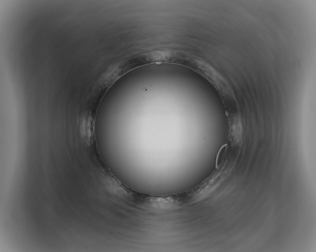 X0000111580525200907231238