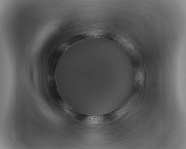 X0000111580526200907231238
